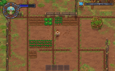 Фермерство в Graveyard Keeper - как начать, где найти семена и что можно посадить