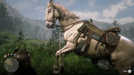 Red Dead Redemption 2 - где найти лошадь Буэлл Red Dead Redemption 2 - где найти лошадь Буэлл