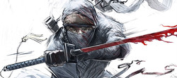Прохождение Shadow Tactics: Blades of the Shogun. Миссия 3