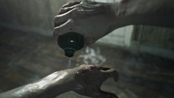 Гайд Resident Evil 7. Расположение всех трав Гайд Resident Evil 7. Расположение всех трав