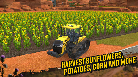 Гайд Farming Simulator 18. Сравнение культур по урожайности и цене Гайд Farming Simulator 18. Сравнение культур по урожайности и цене