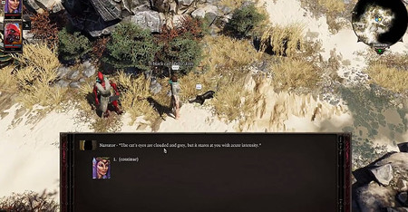 Спасение черной кошки в Divinity: Original Sin 2