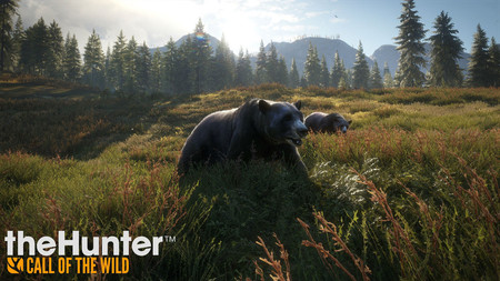 Где найти пещеры на карте Medved Taiga в The Hunter: Call of the Wild Где найти пещеры на карте Medved Taiga в The Hunter: Call of the Wild