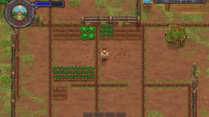 Фермерство в Graveyard Keeper - как начать, где найти семена и что можно посадить
