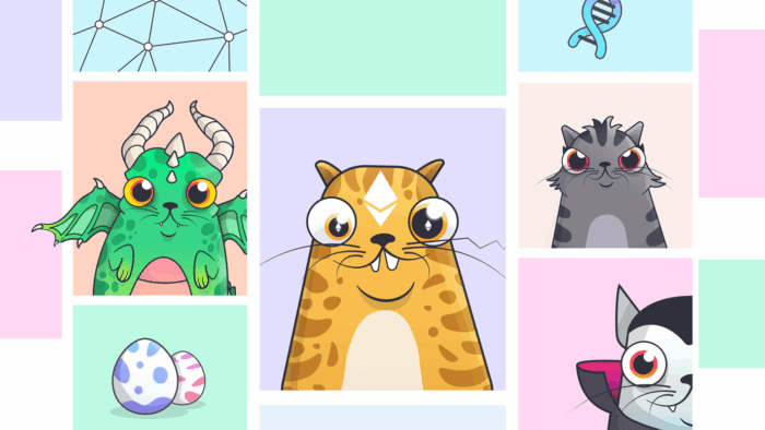 Гайд Cryptokitties: как купить Крипто Котиков