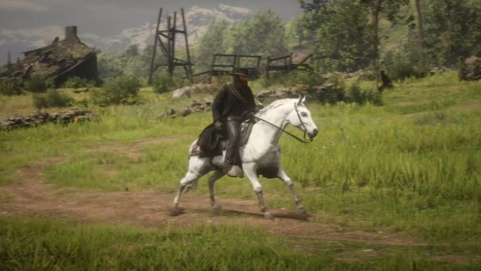 Red Dead Redemption 2 - где найти белую арабскую лошадь