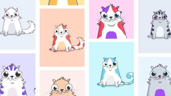 Гайд Cryptokitties: что такое Крипто Котики