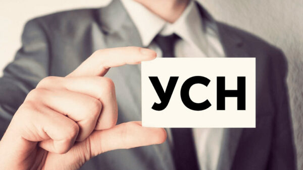 НДС при УСН: особенности применения и учет для малых предприятий