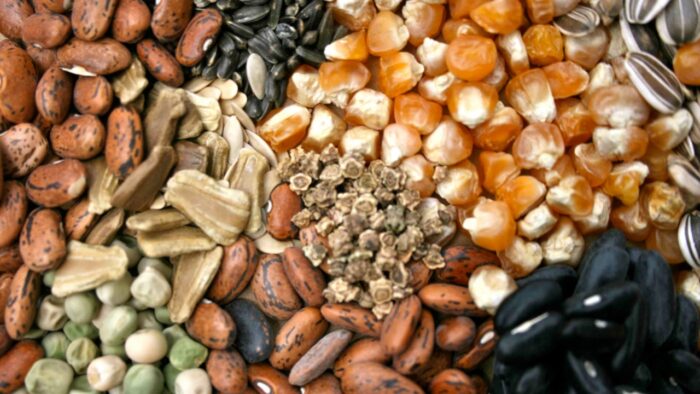 Семяныч о подмене сайтов и фейках в сети