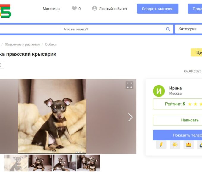 Доска объявлений в России N555.ru (№555)