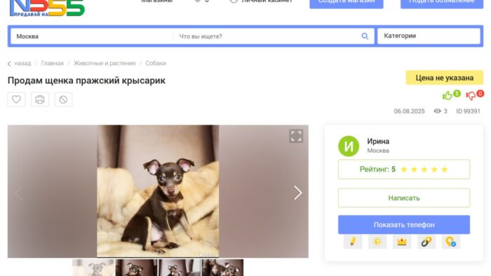 Доска объявлений в России N555.ru (№555)