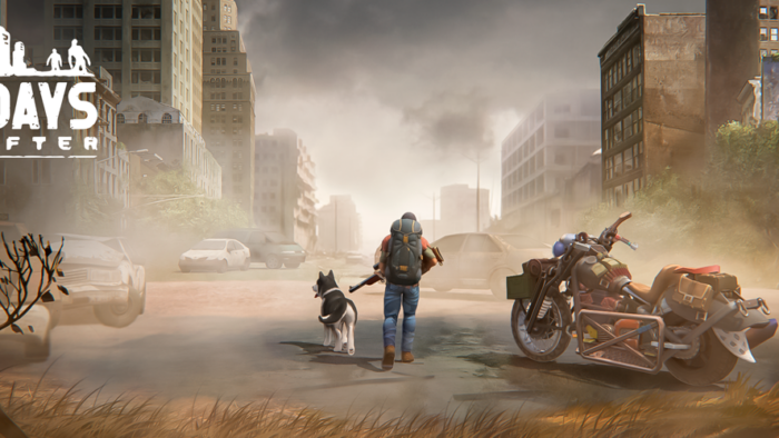 Days After - рабочие коды