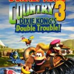 Donkey Kong Country 3