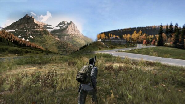 DayZ
