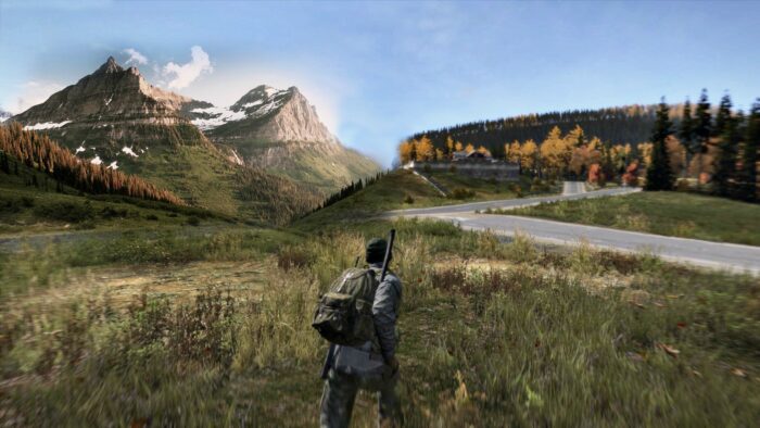 DayZ