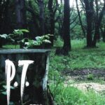 P.T.